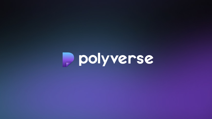 Calcam showcase preview