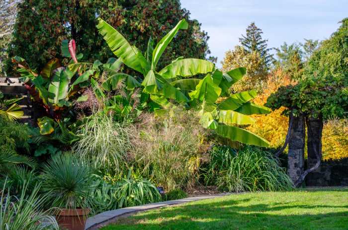 Join a knowledgeable Wave Hill Garden Gu
