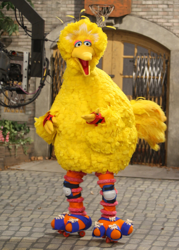 bigbird's user avatar