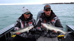 Getting Busy With the New Bill Lewis PWC Lite thumbnail