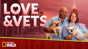 Love & Vets thumbnail