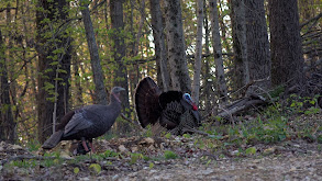 Tennessee Doubles for a Cause thumbnail