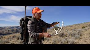 Shed Loads of Luck Part 1 thumbnail