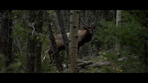 Trials and Tribulations thumbnail