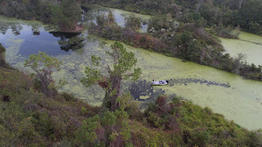 Hidden Gems: Small Lake Bass Bonanza thumbnail