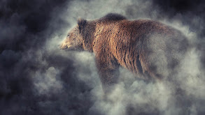 Winner Takes All thumbnail