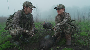 Love to See It thumbnail