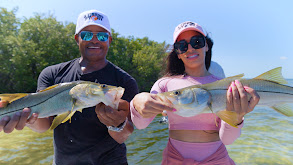 Dr Seema Yasmin thumbnail