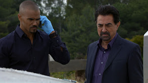 Supply & Demand thumbnail