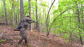 Shackleford Lane Part 2 thumbnail