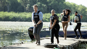 Mango Madness thumbnail