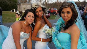 Don't Mess With the Nest thumbnail