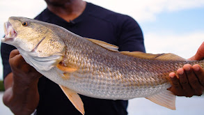 Cancer Survivor thumbnail