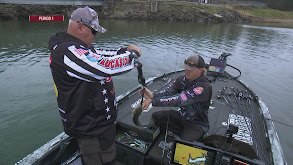 2022 Stage 3 Championship Round thumbnail