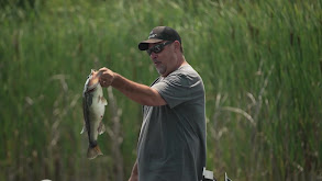 High Water Flipping for Bass thumbnail
