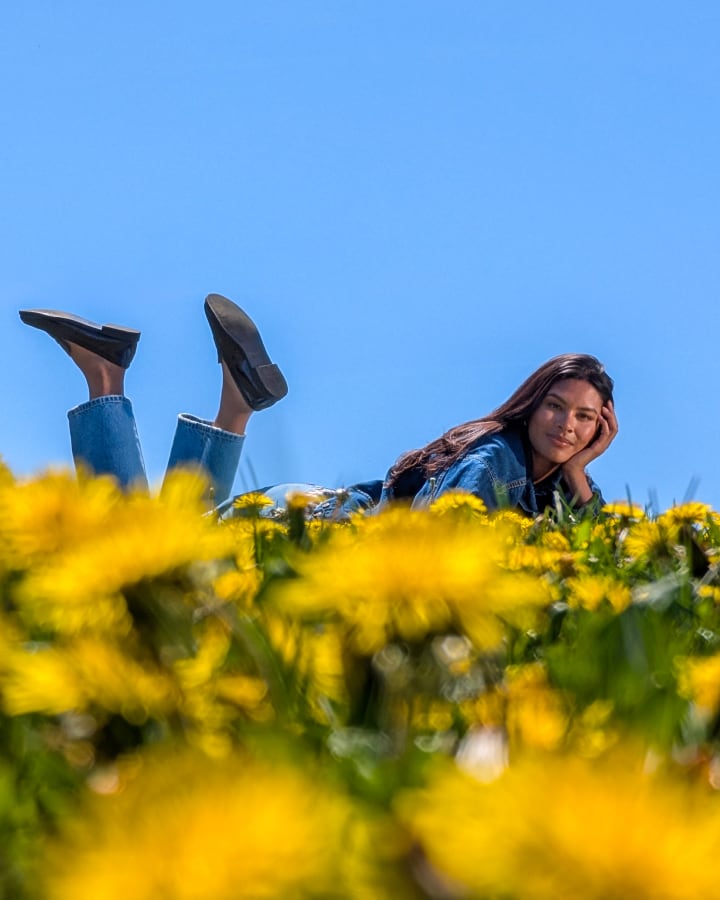 A person relaxes on a daisy-covered hill