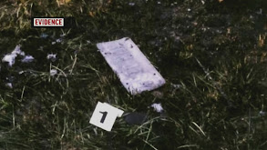 Theresa Voss thumbnail