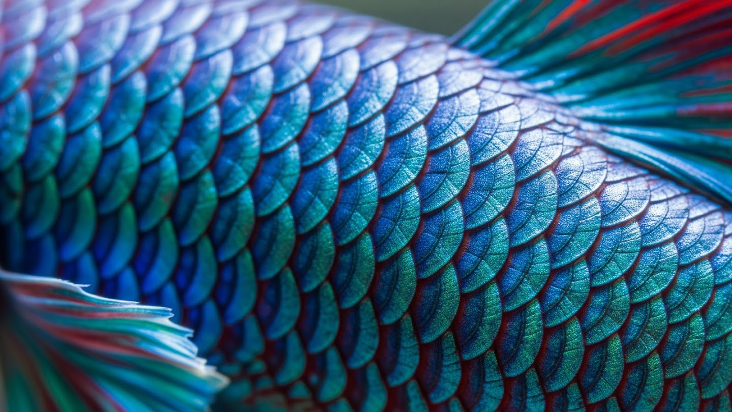 AI-generated image of: macro view of vibrant fish scales transitioning from turquoise to deep violet, showing the intricate, fingerprint-like ridged texture on each individual overlapping scale
