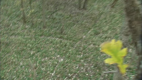 South Dakota Part 1 thumbnail