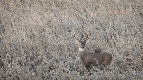 KY With Moultrie Mobile Part 2 thumbnail