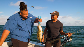 Never Say Never thumbnail