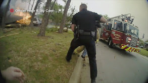 Lie in Wait thumbnail