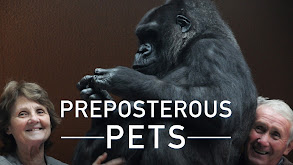 Preposterous Pets thumbnail
