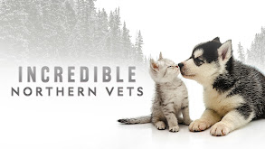 Incredible Northern Vets thumbnail