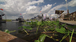 Gators and Haters thumbnail