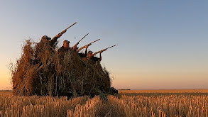Prairie Wings of Saskatchewan thumbnail