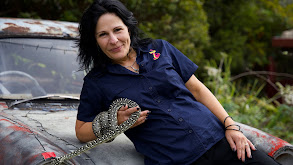 La tierra de la serpiente marrón thumbnail