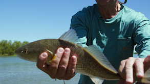 Louisiana Cast and Blast, Part 2 thumbnail