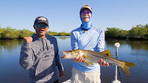 Saving Our Heroes thumbnail