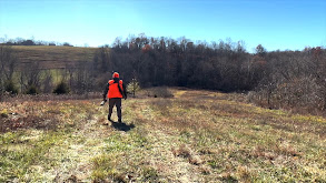 South Dakota Whitetails thumbnail