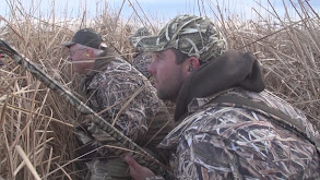 Chilly Mallards thumbnail