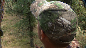 Seven J Bad Boy Bucks thumbnail