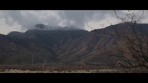 Boarder Bucks thumbnail