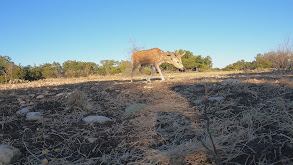 A Moment to Remember thumbnail