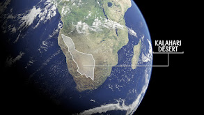 Meerkat Survival School thumbnail