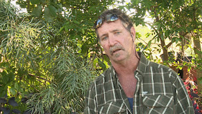 The Ancient Killer thumbnail