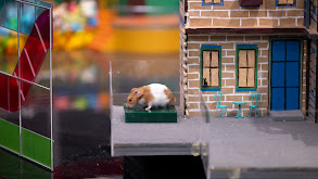 Flight Attendants and Tooth Fairies thumbnail