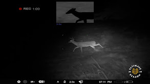 Combining Night Vision and Thermal for Nighttime Hunts thumbnail