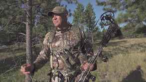 Seven J Part 2 thumbnail