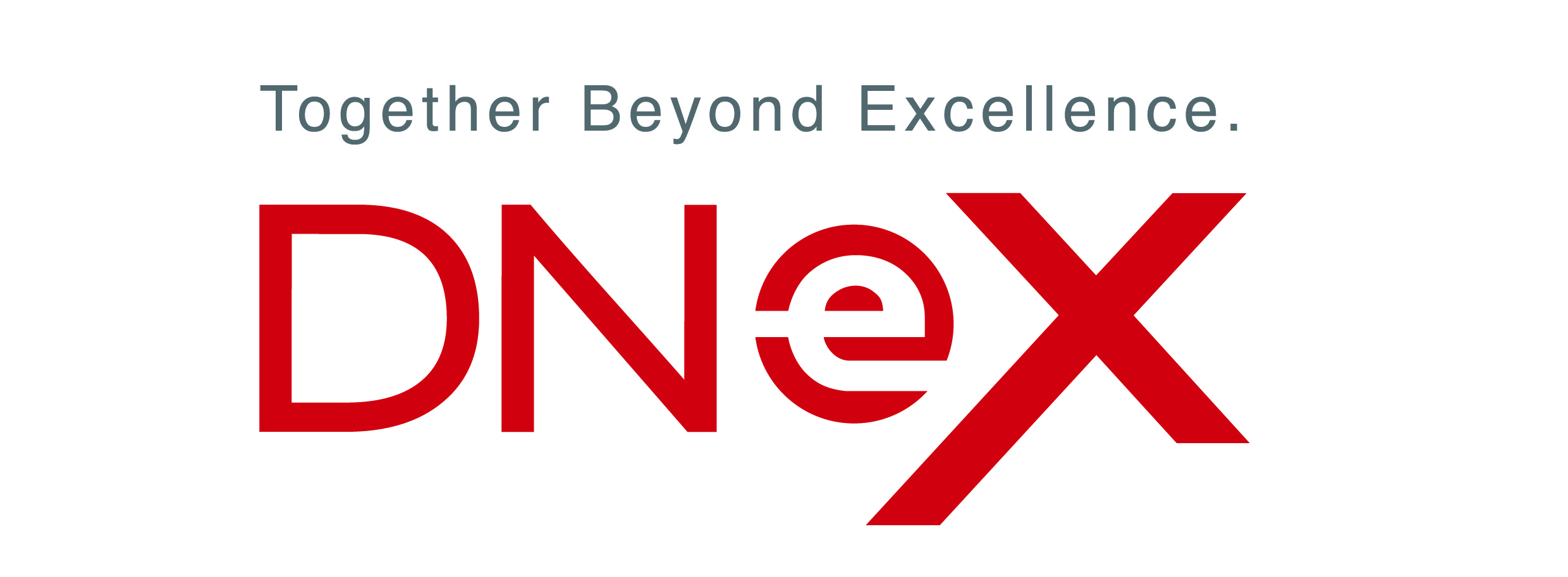 Logo: DNeX