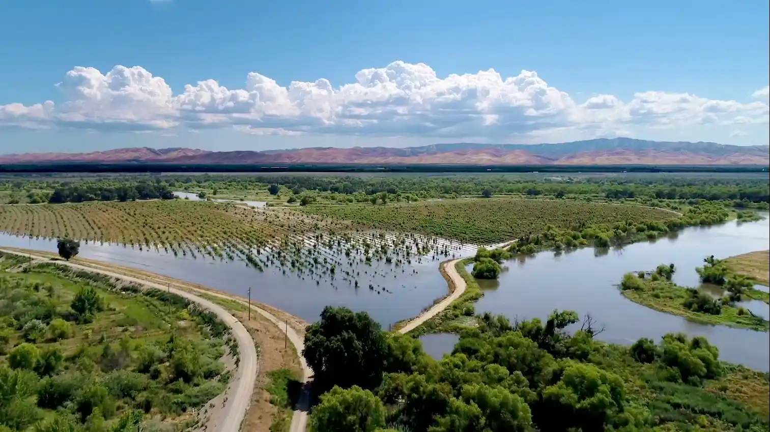 An aerial view shows a flooded agricultural landscape with rows of trees and plants partially submerged in water, flanked by a road and a winding path, with distant mountains under a partly cloudy sky.